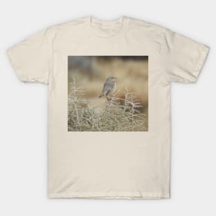 wild, birds, sage thrasher, wildlife, gifts T-Shirt